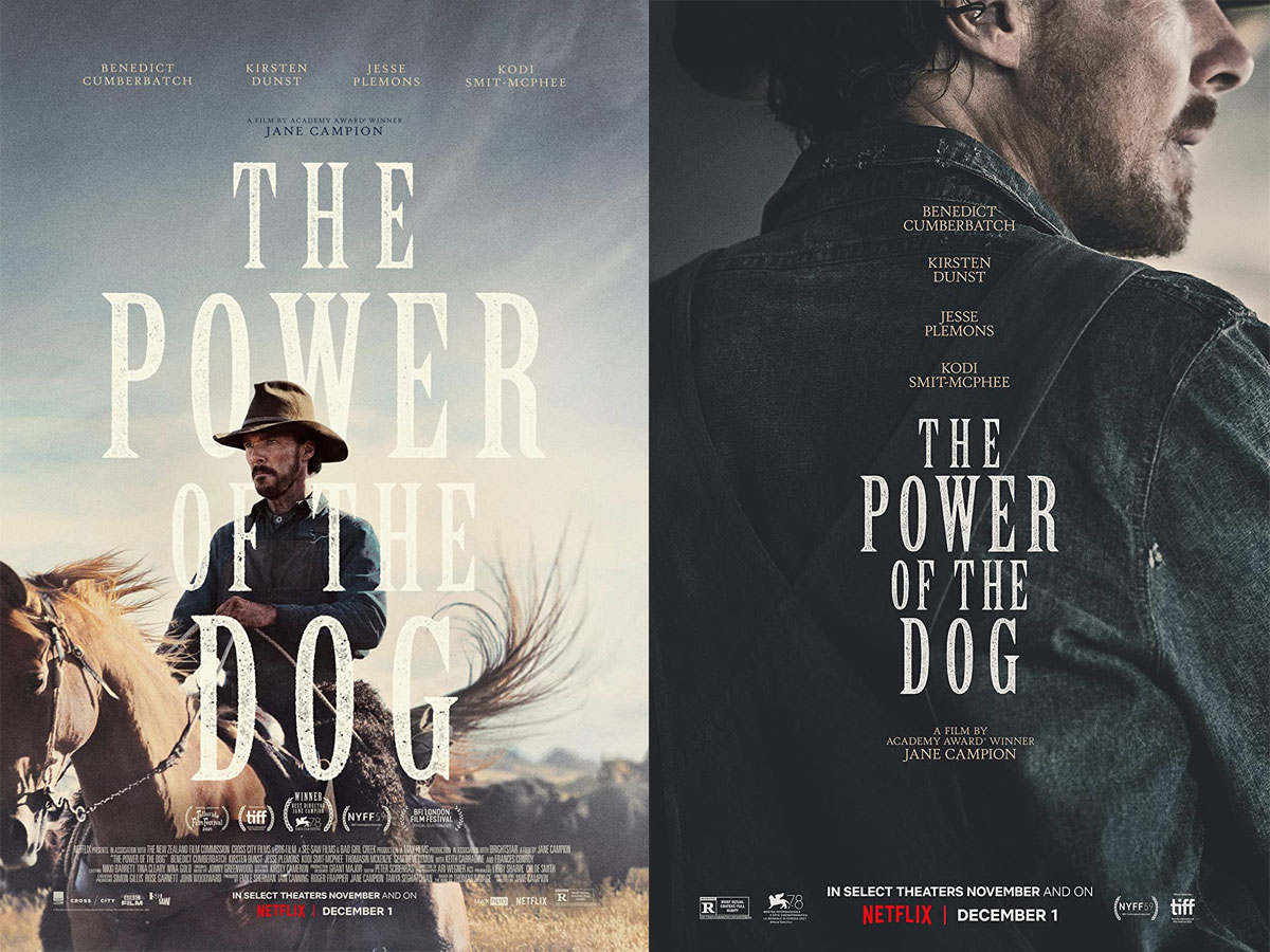 power of the dog poster